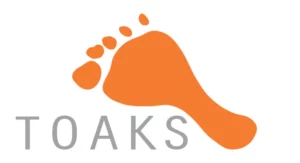 TOAKS - Titanium Foldable Spoon - lepel