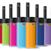 BIC EZ Reach lighter
